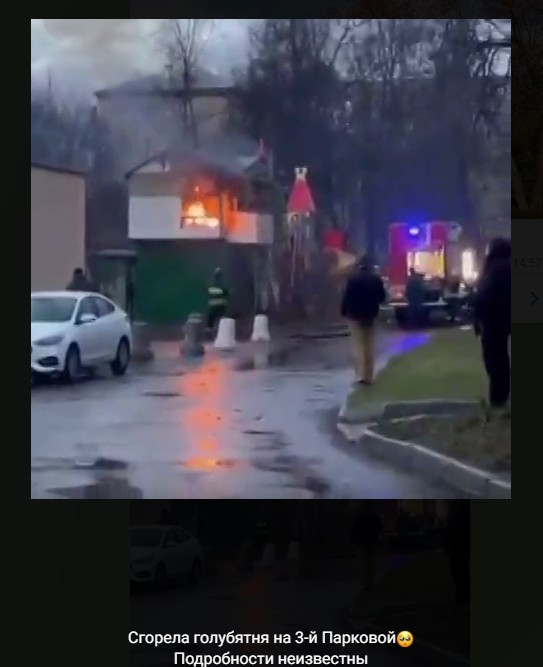 На 3-й Парковой сгорела голубятня